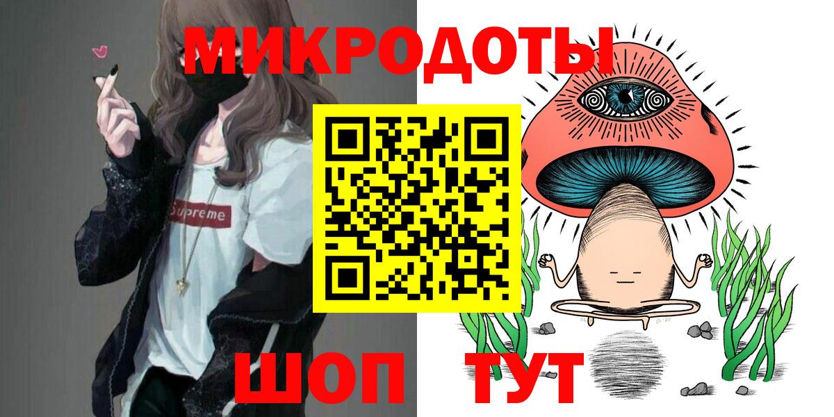 Галлюциногенные грибы Psilocybe  Вход с VPN  Кингисепп 