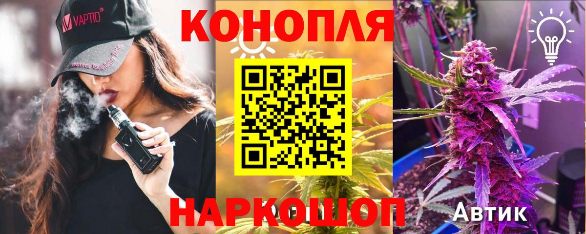 Кингисепп  МАРИХУАНА Amnesia  Конопля индика  Каннабис план  Вход с VPN 